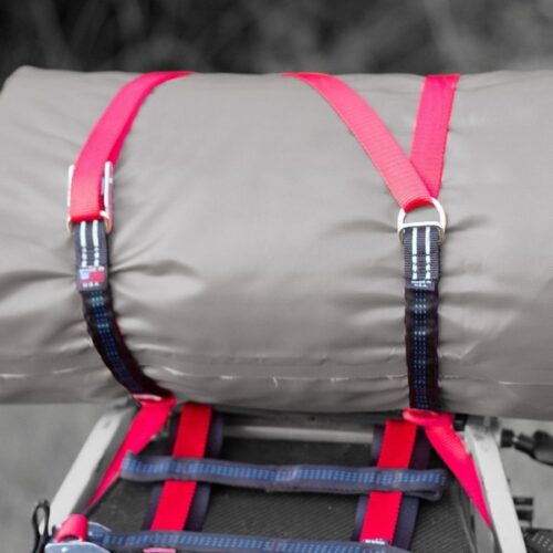 Bag Snake Kit